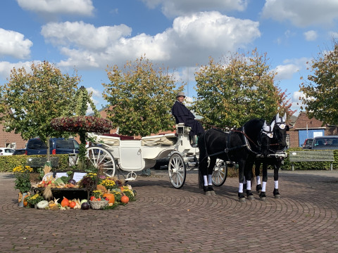 De Jong Stables | Hochzeitskutschen, Hochzeitsauto · Kutsche Düsseldorf, Kontaktbild